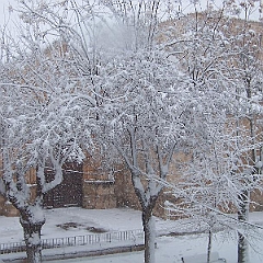 nieve 14 - 12 - 09 116